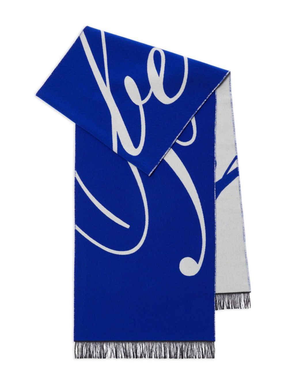 Burberry Scarfs Blue