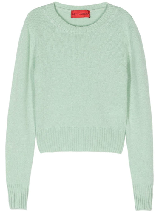 WILD CASHMERE Sweaters Green