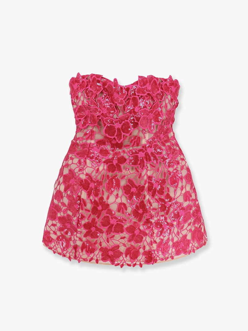 Alira laces and sequins dress