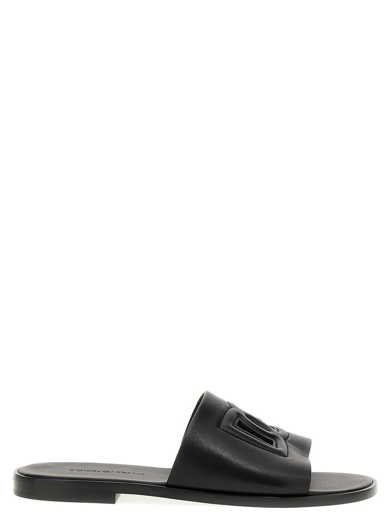 Logo slides